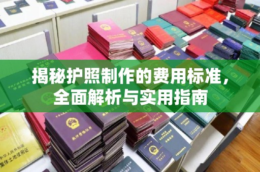 中站揭秘护照制作的费用标准，全面解析与实用指南